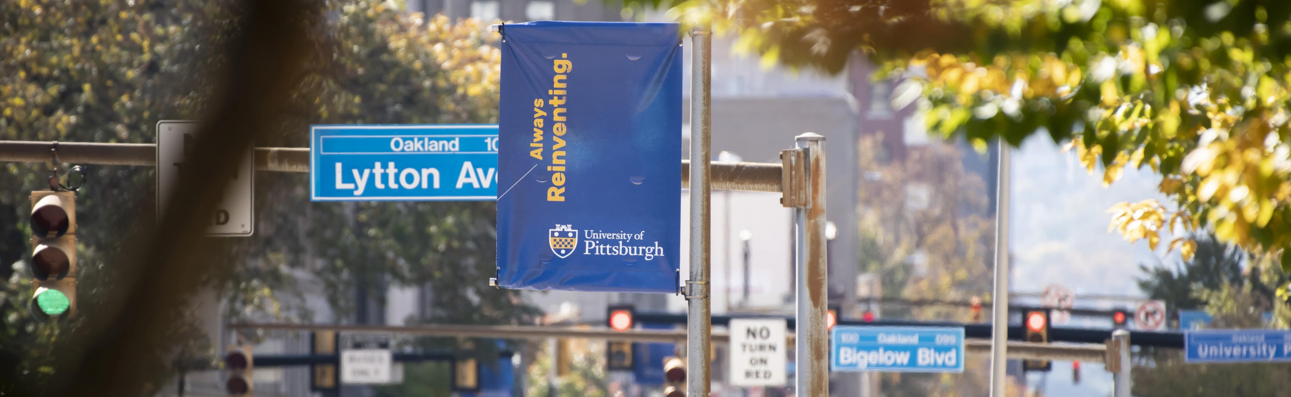 "Always Reinventing" Pitt flag on roadside